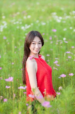 荣华令电视剧免费观看全部播放