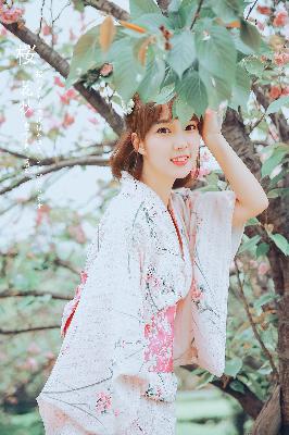 不惑之旅全集免费观看完整版