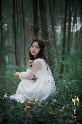 电视剧免费观看高清完整版在线观看