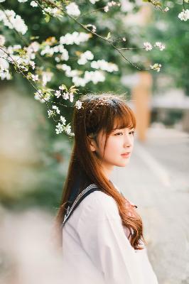 隐锋电视剧免费观看全集高清