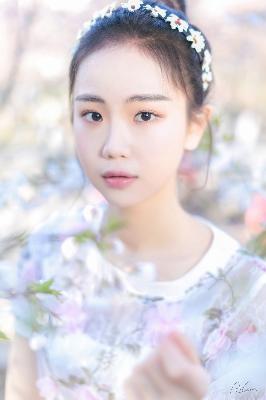 国色芳华电视剧在线观看免费高清版