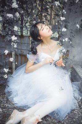 2025正版资料大全免费