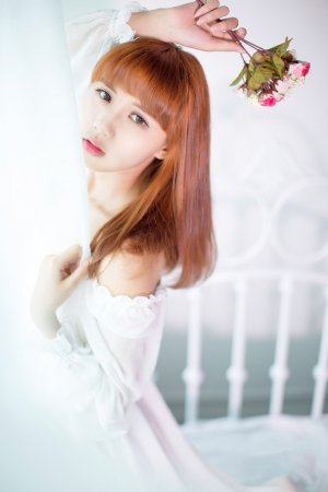 免费观看电视剧大全