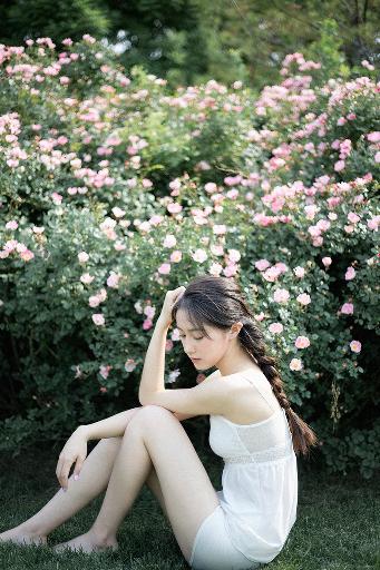 黄雀电视剧全集免费观看高清版