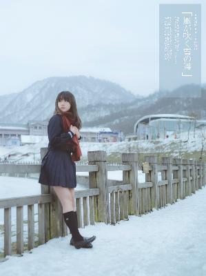 少年白马醉春风 电视剧