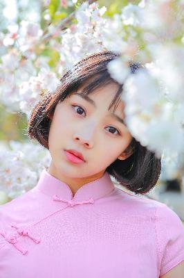 吞噬星空在线观看免费全集