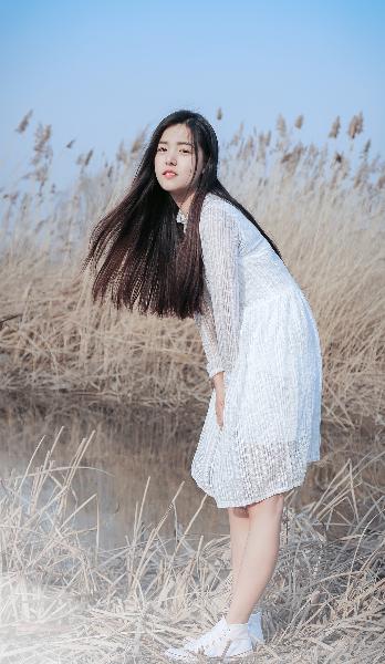 老牛影院在线播放免费高清电视剧