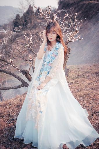 美人心计电视剧免费观看完整版