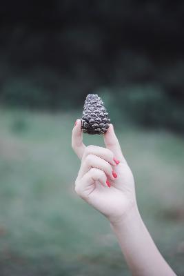 色戒完整版在线观看