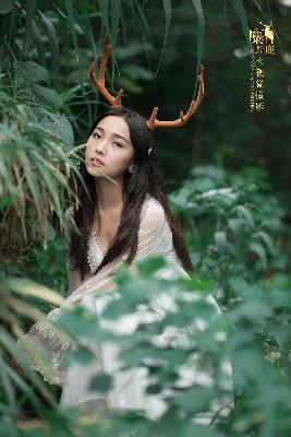 国产高清电影免费观看完整版在线观看熊出没