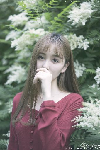 白月梵星电视剧在线观看全集免费播放