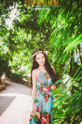 免费观看电视剧大全