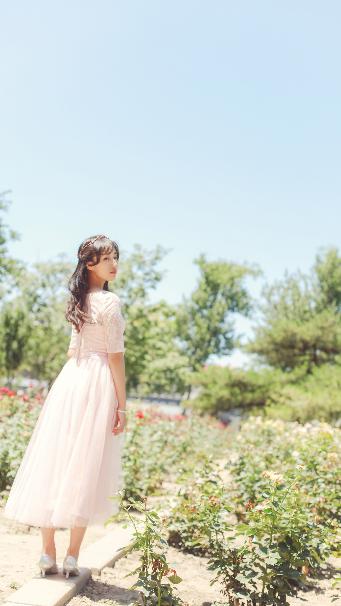 国产观看免费高清电视剧推荐