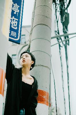 凤凰台上电视剧免费观看