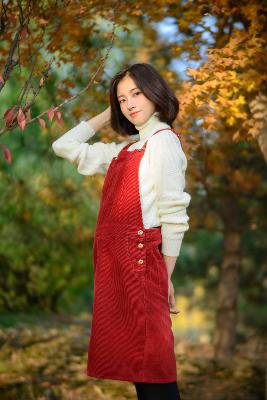 中日双语字幕日剧有哪些