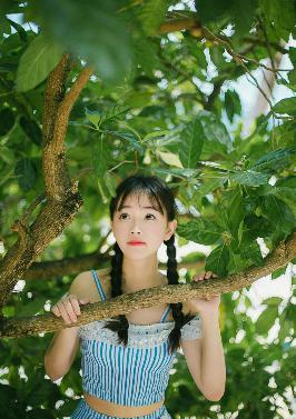 在线观看免费完整电视剧大全