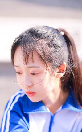 扫黑风暴电视剧在线观看免费完整版