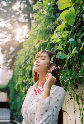 不曾遗忘的暮色泰剧在线观看