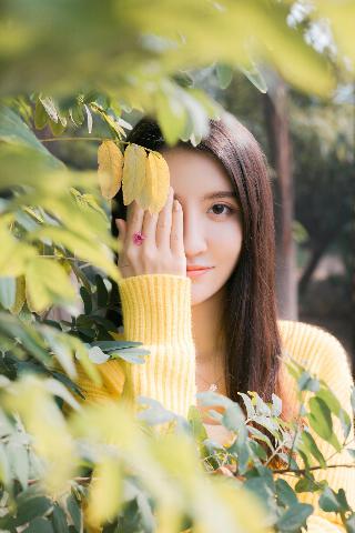 高压监狱在线观看完整免费高清满天星在线