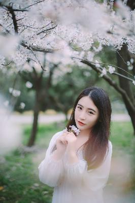 唐朝诡事录3之长安免费观看