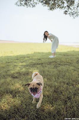 妈妈的朋友免费观看