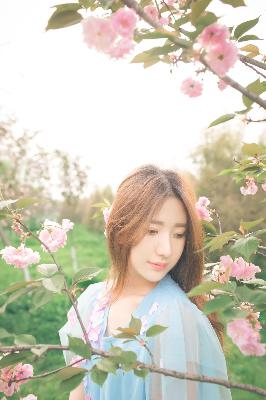 黑白禁区免费观看全集电视剧结局