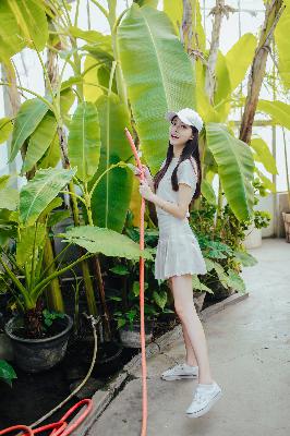 半是蜜糖半是伤免费观看全集完整版